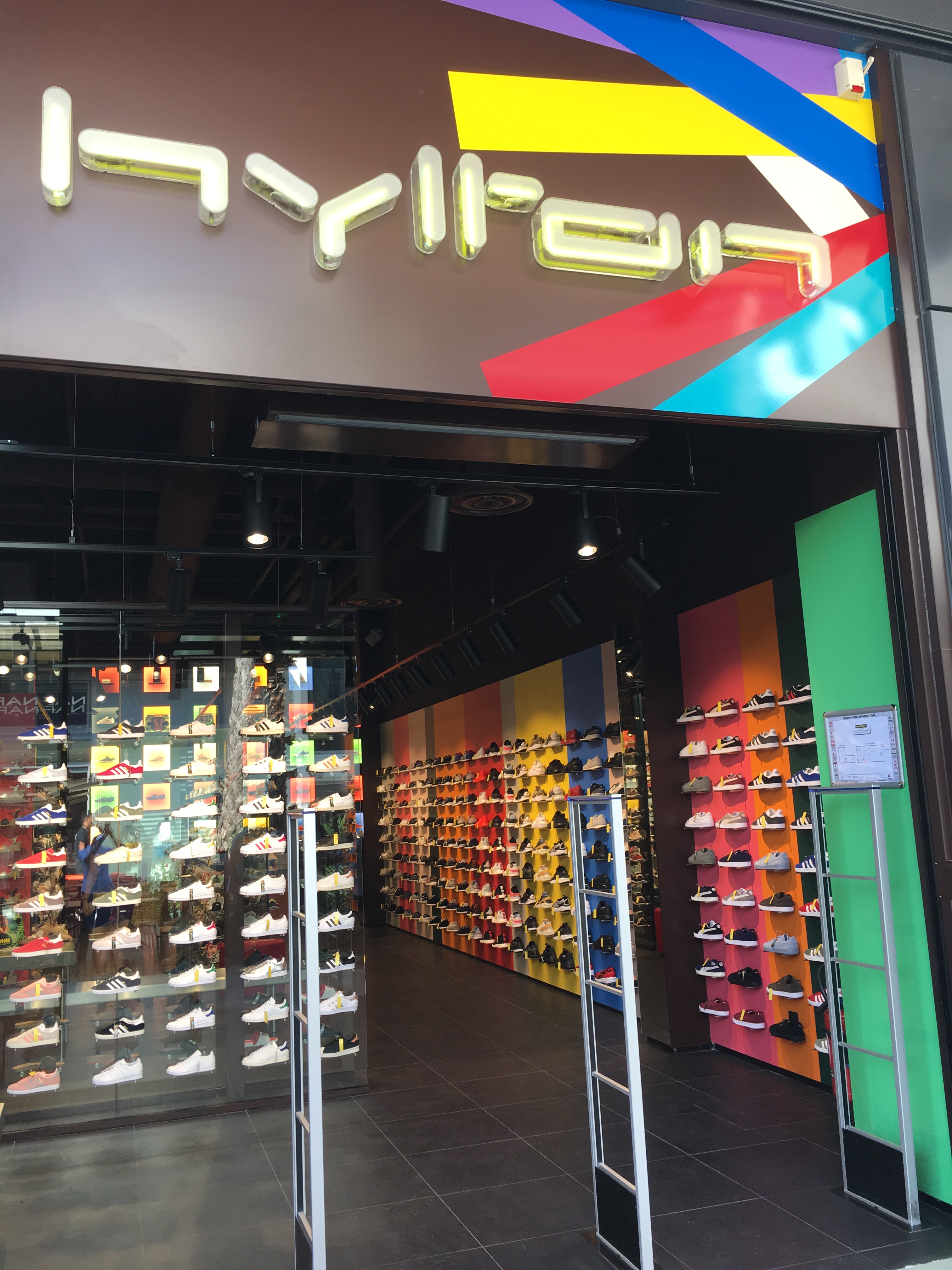 hylton chaussure